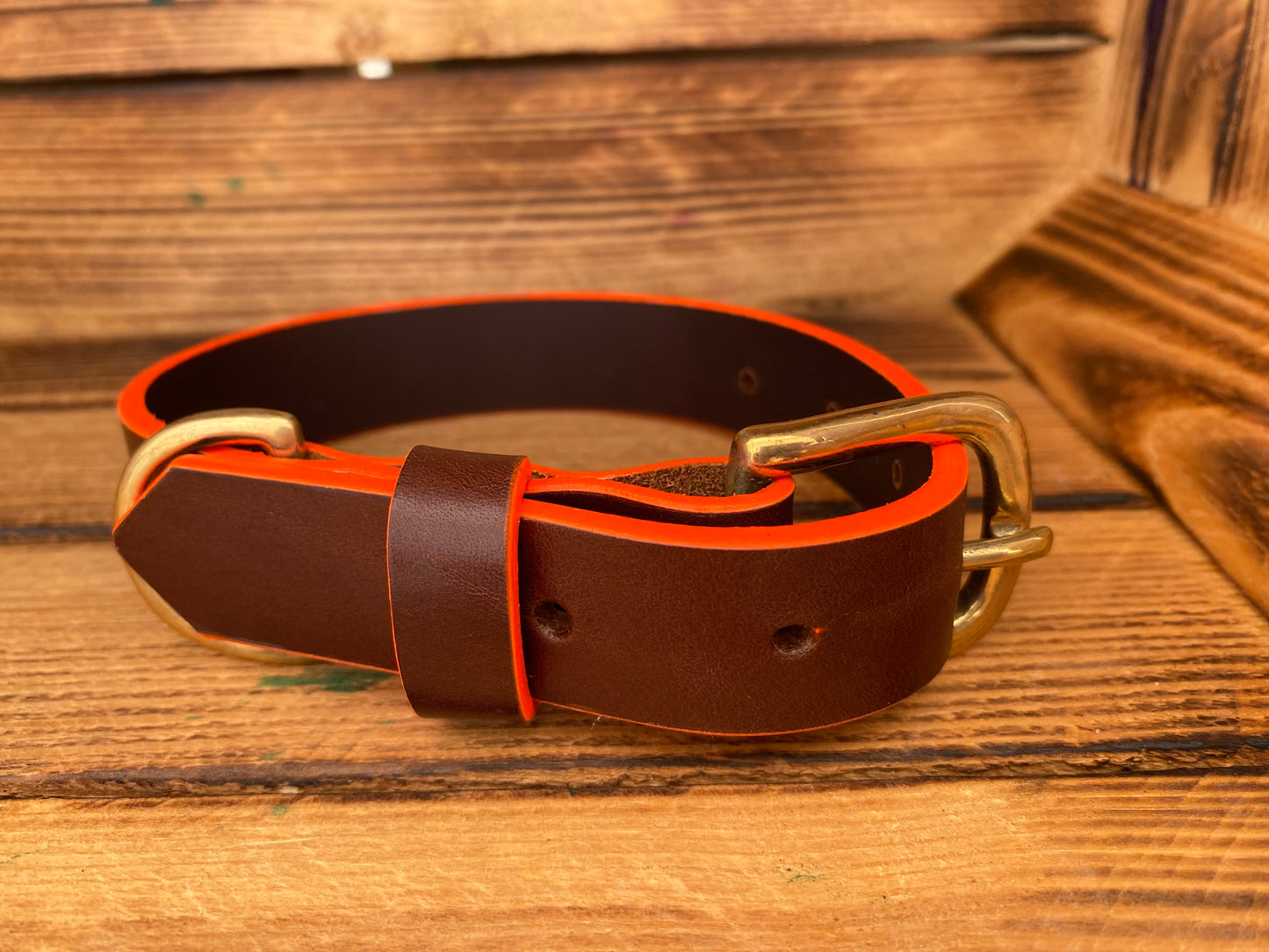 Dog Collar Tangerine Chunky